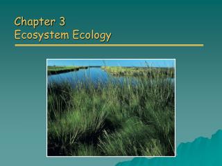 Chapter 3 Ecosystem Ecology