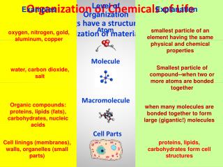 Organization of Chemicals of Life