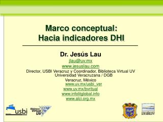 Marco conceptual: Hacia indicadores DHI