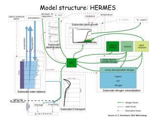 Model structure: HERMES