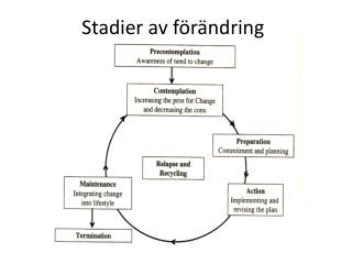 Stadier av förändring