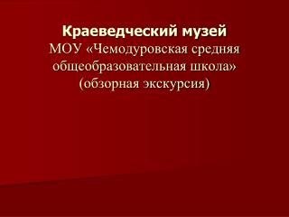 Краеведческий музей МОУ «Чемодуровская средняя общеобразовательная школа» (обзорная экскурсия)