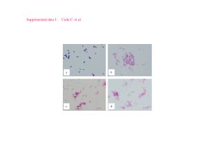 Supplemental data 1: Ueda C. et al.