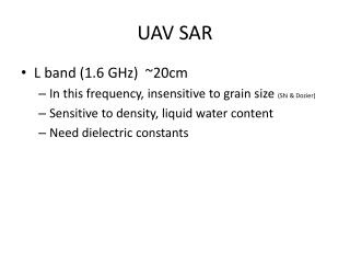 UAV SAR