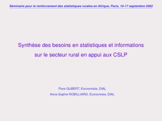 Synthèse des besoins en statistiques et informations sur le secteur rural en appui aux CSLP