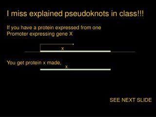 I miss explained pseudoknots in class!!! If you have a protein expressed from one