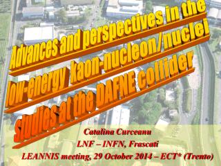 Catalina Curceanu LNF – INFN, Frascati LEANNIS meeting, 29 October 2014 – ECT* (Trento)