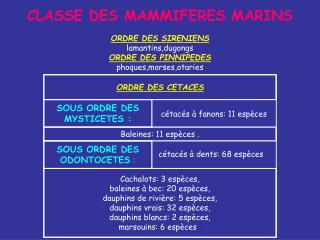 CLASSE DES MAMMIFERES MARINS ORDRE DES SIRENIENS lamantins,dugongs