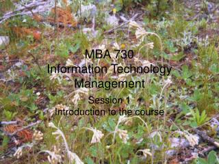 MBA 730 Information Technology Management