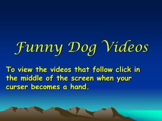 Funny Dog Videos