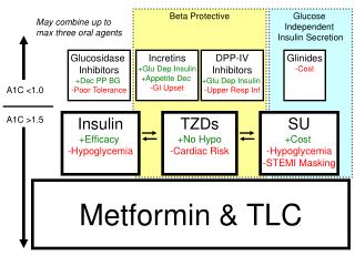 Glucose Independent Insulin Secretion