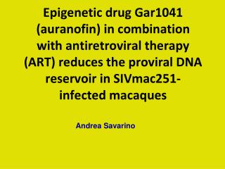 Epigenetic drug Gar1041 (auranofin) in combination with antiretroviral therapy (ART) reduces the proviral DNA reservoir