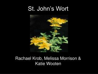 St. John’s Wort