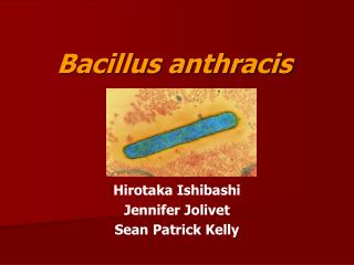 Bacillus anthracis