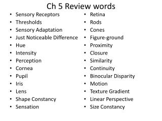 Ch 5 Review words