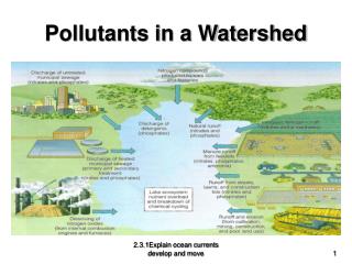 Pollutants in a Watershed