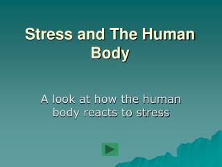 Stress and The Human Body