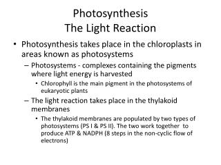 Photosynthesis The Light Reaction