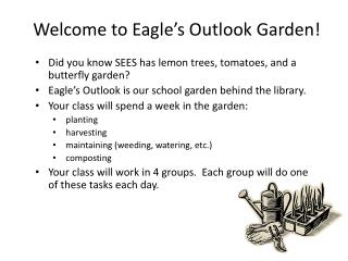 Welcome to Eagle’s Outlook Garden!