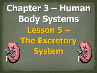 Chapter 3 – Human Body Systems