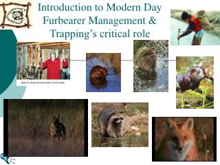 Introduction to Modern Day Furbearer Management &amp; Trapping’s critical role