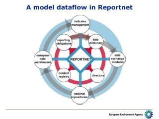 A model dataflow in Reportnet