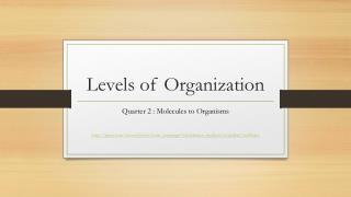 Levels of Organization