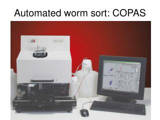 Automated worm sort: COPAS