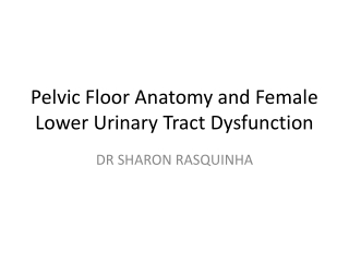 Pelvic Floor Anatomy and Female Lower Urinary Tract Dysfunction