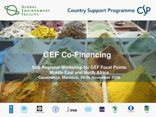 GEF Co-Financing