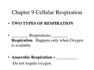 Chapter 9 Cellular Respiration