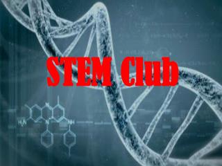 STEM Club