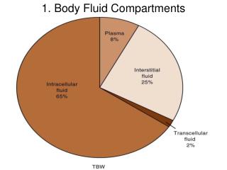 1. Body Fluid Compartments