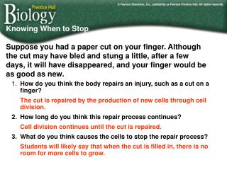 1.	 How do you think the body repairs an injury, such as a cut on a finger?
