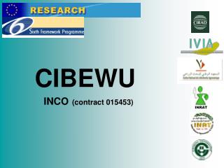 CIBEWU INCO (contract 015453)