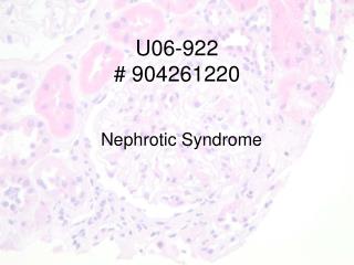 U06-922 # 904261220