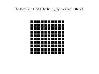 The Hermann Grid (The little gray dots aren’t there)