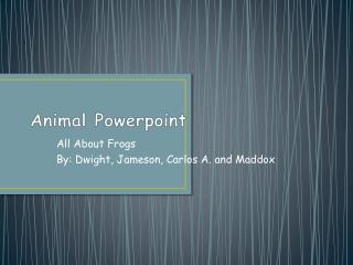 Animal Powerpoint