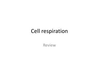 Cell respiration