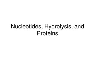 Nucleotides, Hydrolysis, and Proteins