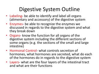 Digestive System Outline
