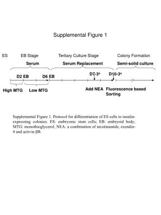 Supplemental Figure 1