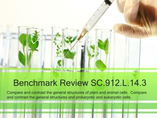 Benchmark Review SC.912.L.14.3