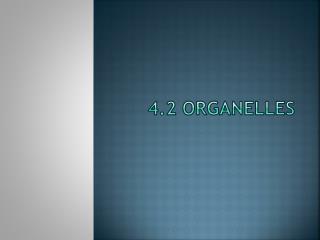 4.2 Organelles