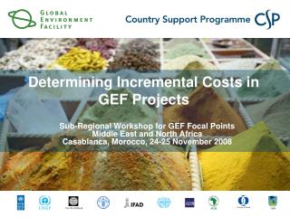 Determining Incremental Costs in GEF Projects