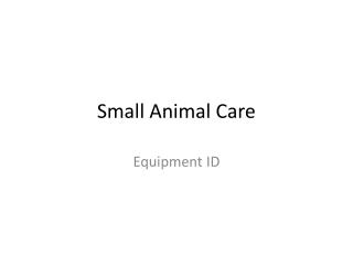 Small Animal Care