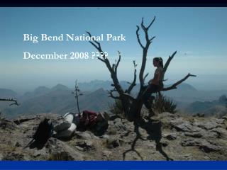 Big Bend National Park December 2008 ????
