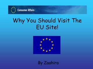 Why You Should Visit The EU Site!