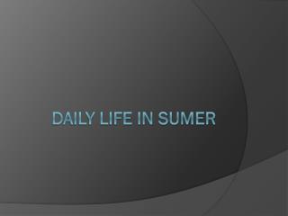 Daily Life in Sumer
