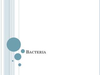 Bacteria